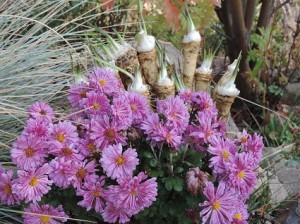 Mums and horseradish root - perfect fall bouquet